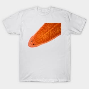 Planaria worm under the microscope T-Shirt